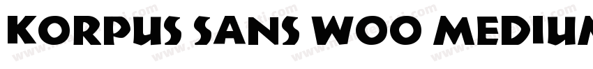 Korpus Sans W00 Medium字体转换